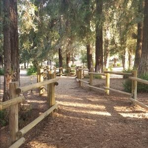 Meet your Posher, Rosa m